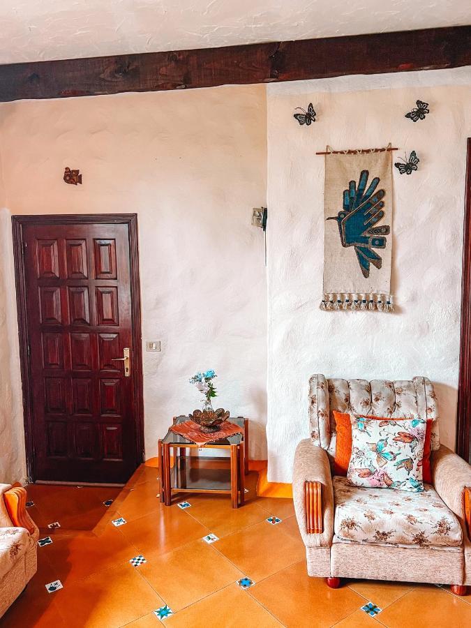 Canarian Cottage With Terrace Surrounded By Garden - Alisios La Orotava Bagian luar foto