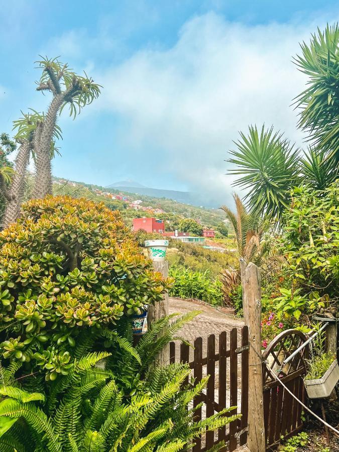 Canarian Cottage With Terrace Surrounded By Garden - Alisios La Orotava Bagian luar foto
