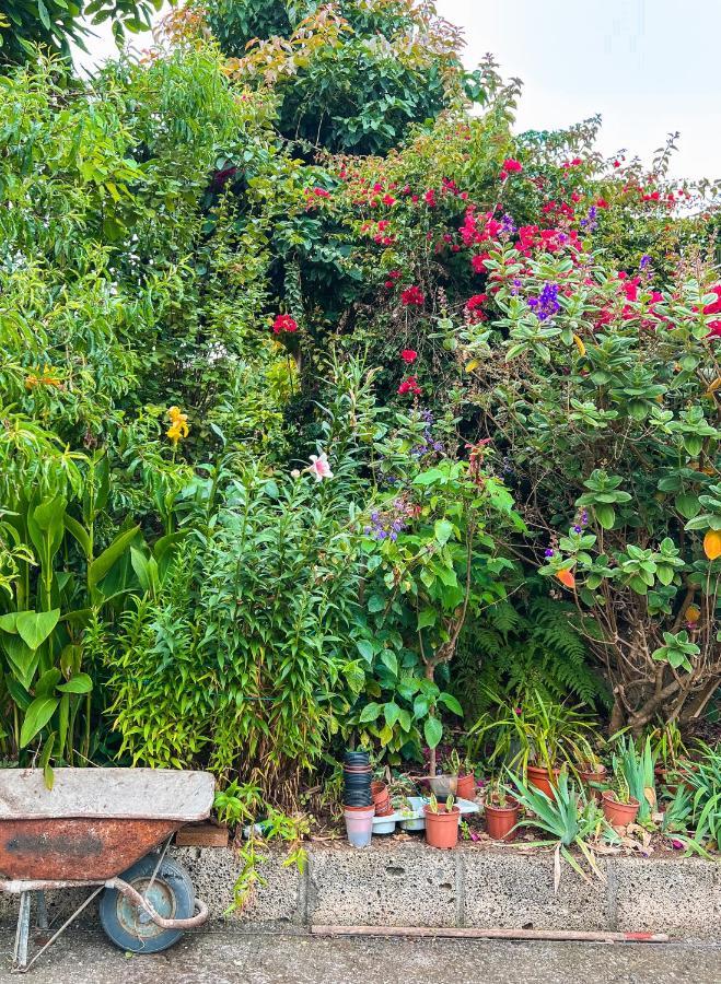 Canarian Cottage With Terrace Surrounded By Garden - Alisios La Orotava Bagian luar foto