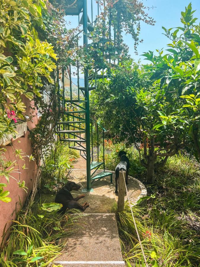 Canarian Cottage With Terrace Surrounded By Garden - Alisios La Orotava Bagian luar foto