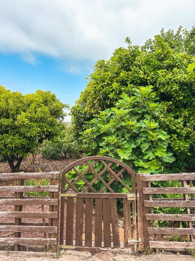 Canarian Cottage With Terrace Surrounded By Garden - Alisios La Orotava Bagian luar foto