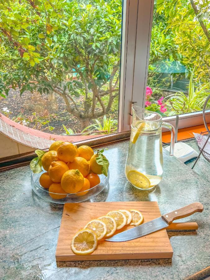 Canarian Cottage With Terrace Surrounded By Garden - Alisios La Orotava Bagian luar foto