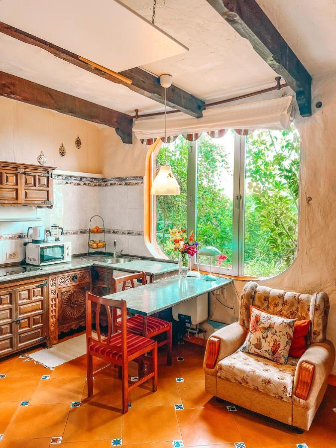 Canarian Cottage With Terrace Surrounded By Garden - Alisios La Orotava Bagian luar foto