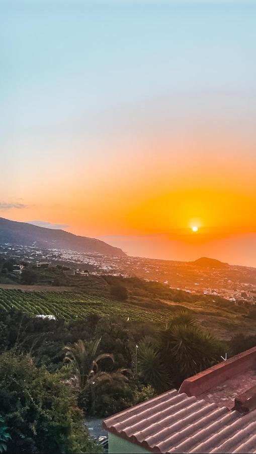Canarian Cottage With Terrace Surrounded By Garden - Alisios La Orotava Bagian luar foto